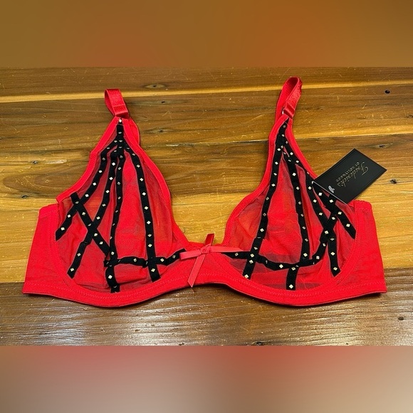 NWT Frederick's Of Hollywood Rozlyn Sheer Red Mesh and Stud Underwire Bra, 34DD - Picture 2 of 12